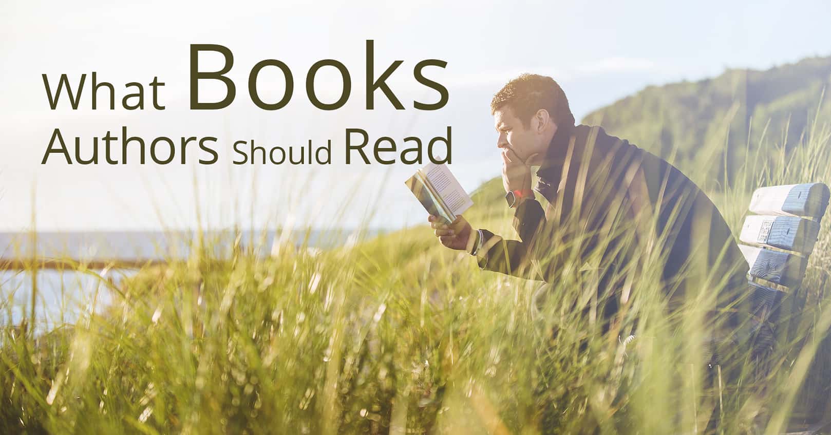 books authors should read