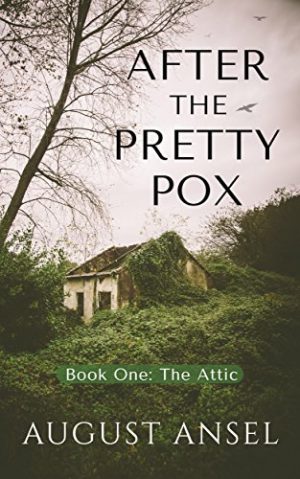 Cover for The Attic