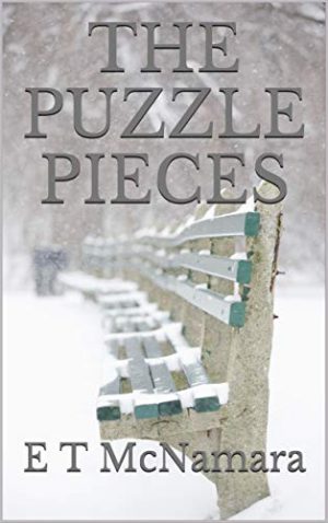 Cover for The Puzzle Pieces