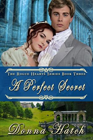 Cover for A Perfect Secret