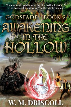 Cover for Awakening in the Hollow