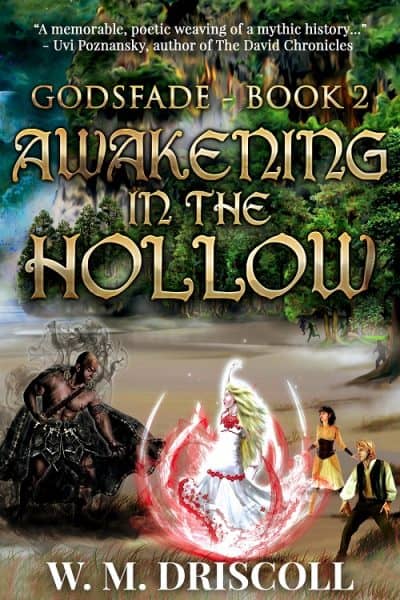 Cover for Awakening in the Hollow