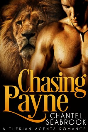 Cover for Chasing Payne
