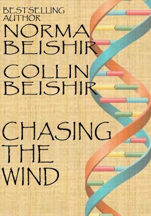 Cover for Chasing The Wind