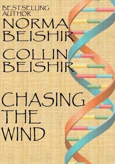 Cover for Chasing The Wind
