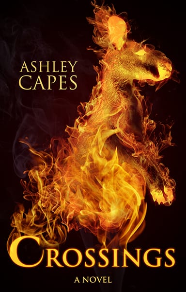 Cover for Crossings