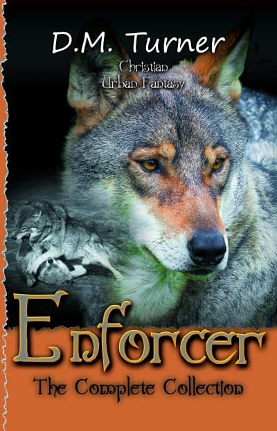 Cover for Enforcer