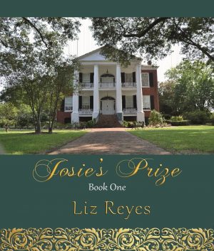 Cover for Josie's Prize