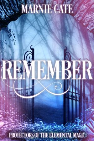 Cover for Remember