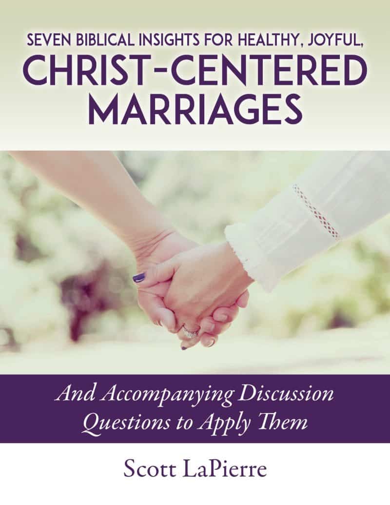 Cover for Seven Biblical Insights for Healthy, Joyful, Christ-Centered Marriages: And Accompanying Discussion Questions to Apply Them