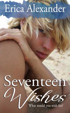 Cover for Seventeen Wishes