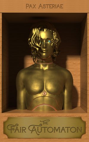Cover for The Fair Automaton