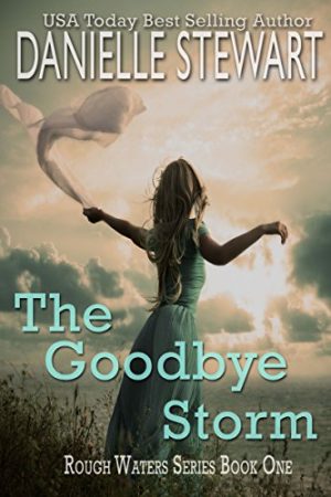 Cover for The Goodbye Storm