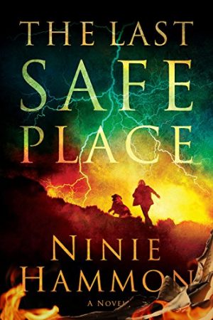 Cover for The Last Safe Place