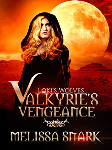 Cover for Valkyrie's Vengeance
