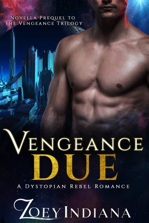 Cover for Vengeance Due