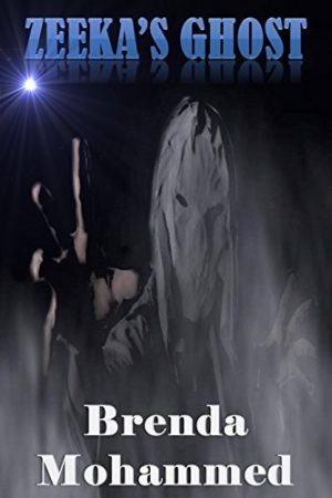 Cover for Zeeka's Ghost