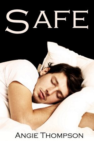 Cover for Safe