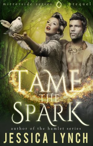 Cover for Tame the Spark