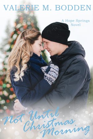Cover for Not until Christmas Morning