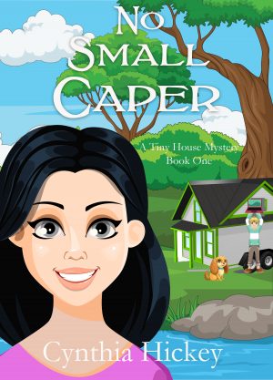 Cover for No Small Caper
