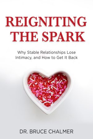 Cover for Reigniting the Spark