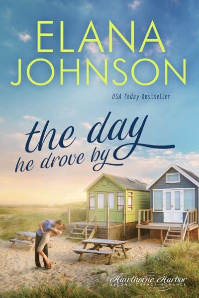 Cover for The Day He Drove By