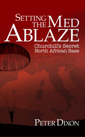 Cover for Setting the Med Ablaze