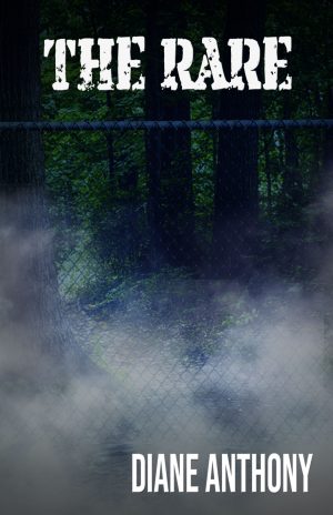 Cover for The Rare