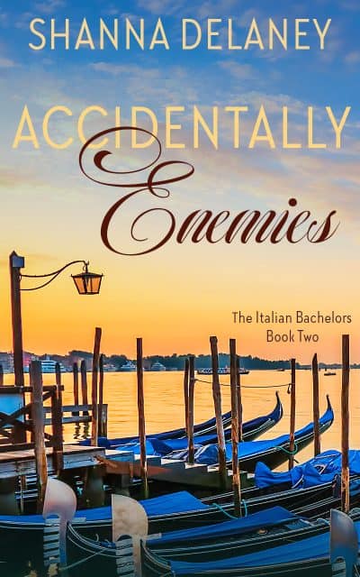 Cover for Accidentally Enemies