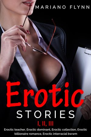 Cover for Erotic Stories