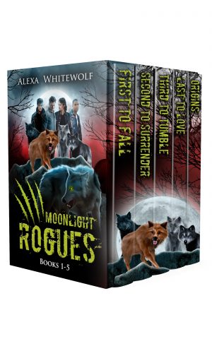 Cover for Moonlight Rogues Boxset