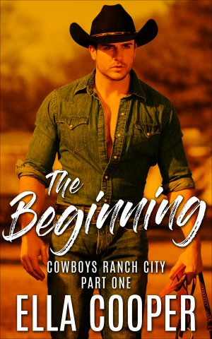 Cover for The Beginning