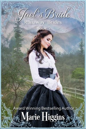 Cover for Joel's Bride