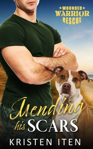 Cover for Mending His Scars