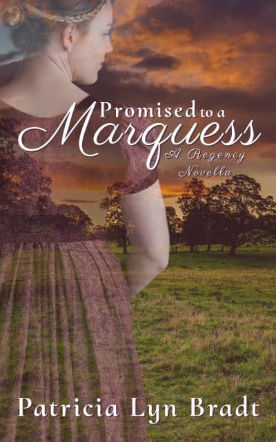Cover for Promised to a Marquess
