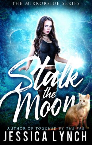Cover for Stalk the Moon