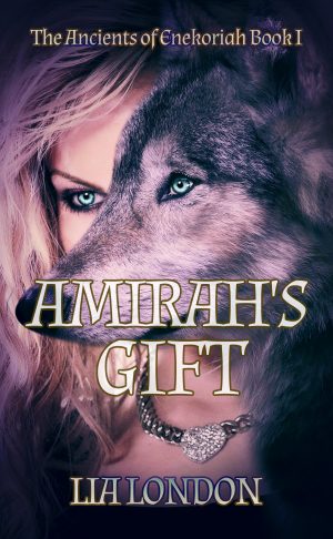 Cover for Amirah's Gift
