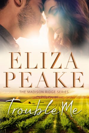 Cover for Trouble Me