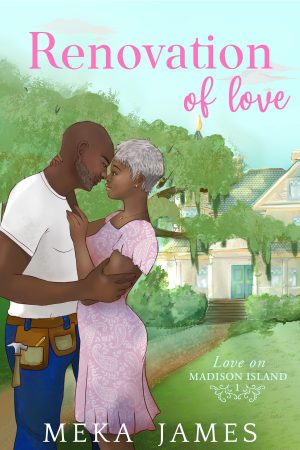 Cover for Renovation of Love