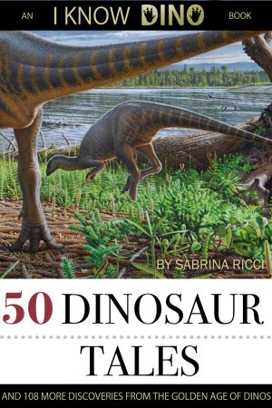Cover for 50 Dinosaur Tales