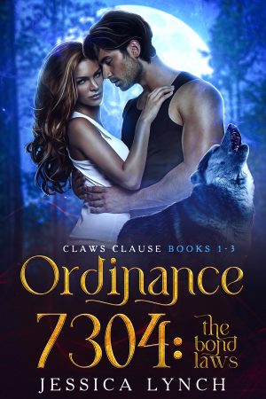 Cover for Ordinance 7304: the Bond Laws