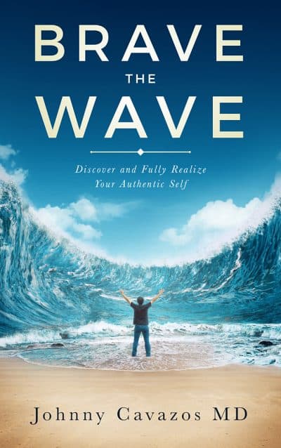 Cover for Brave the Wave