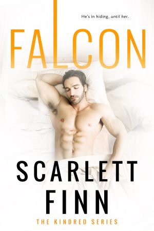 Cover for Falcon