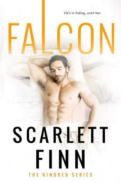 Cover for Falcon