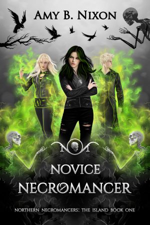 Cover for Novice Necromancer