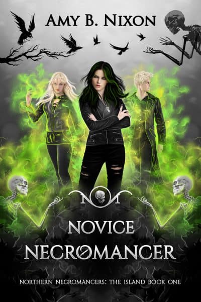 Cover for Novice Necromancer