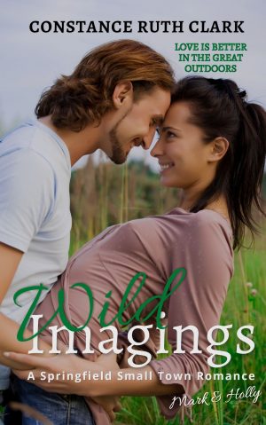Cover for Wild Imaginings